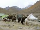 Camp Mankarmo (4380 m/m) a Stok Kangri (6123 m/m)